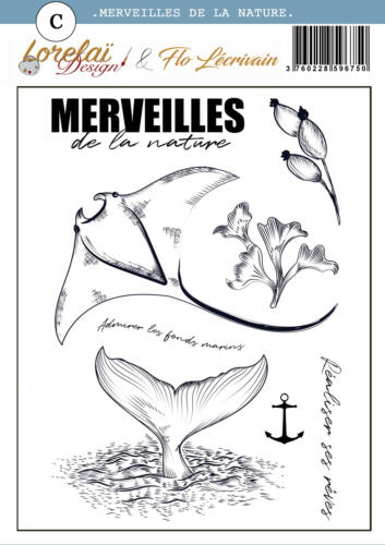 Tampon Clear - MERVEILLES DE LA NATURE - Collection ENTRE TERRE ET MER - Lorelai Design