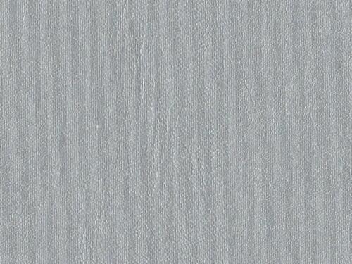 50x69 - Papier Skivertex LISSE ARGENT 