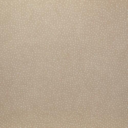 Papier Fantaisie 100% Coton - CANDY Taupe 