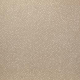 Papier Fantaisie 100% Coton - CANDY Taupe 